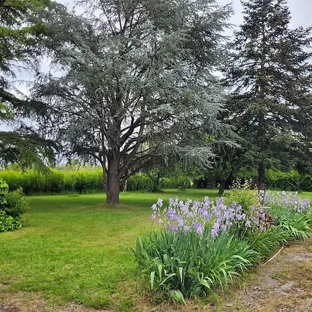 Clair Soleil Au Coeur De La Toscane Occitane Lisle-sur-Tarn