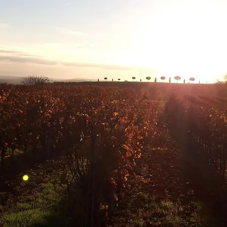 Clair Soleil Au Coeur De La Toscane Occitane Tatil Evi