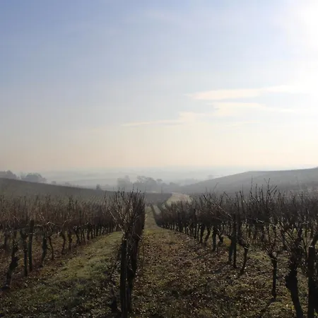 Clair Soleil Au Coeur De La Toscane Occitane *