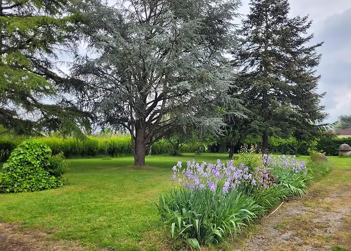 Clair Soleil Au Coeur De La Toscane Occitane Lisle-sur-Tarn