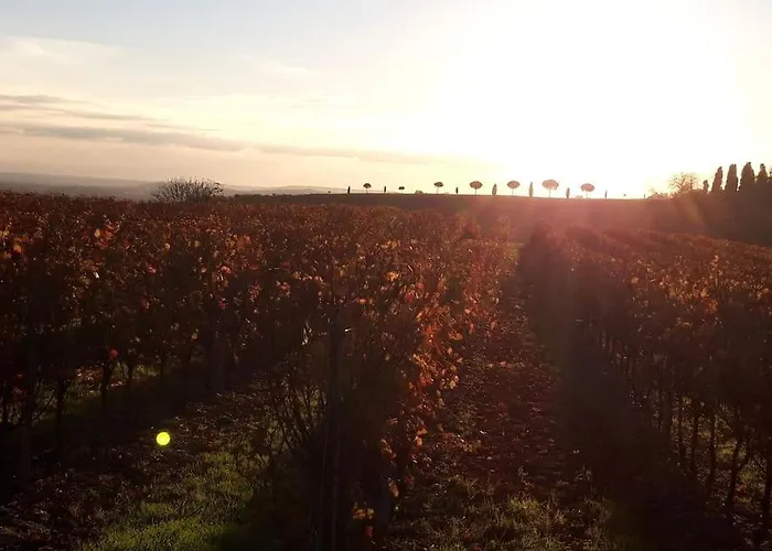 Clair Soleil Au Coeur De La Toscane Occitane بيت للعطل