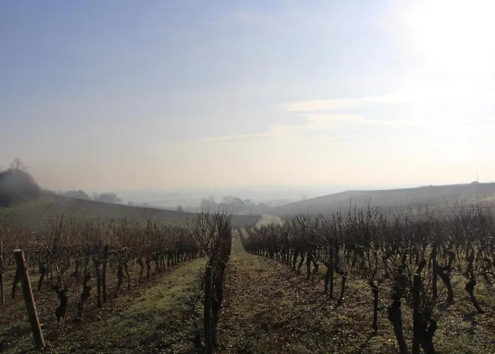 Clair Soleil Au Coeur De La Toscane Occitane *